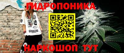 стаф Краснознаменск