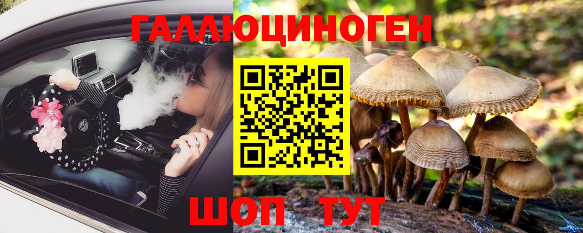 Кольчугино  Галлюциногенные грибы Psilocybine cubensis  Вход с VPN  Галлюциногенные грибы прущие грибы 